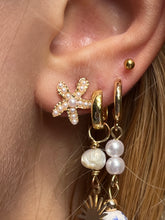 Load image into Gallery viewer, Starfish Earrings