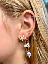 Load image into Gallery viewer, Starfish Earrings