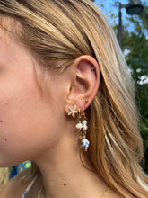 Load image into Gallery viewer, Starfish Earrings