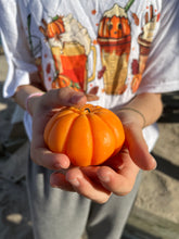 Load image into Gallery viewer, Fall Pumpkin Candle