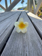 Load image into Gallery viewer, Hibiscus Yellow HairClip