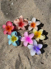 Load image into Gallery viewer, Pink Hibiscus HairClip