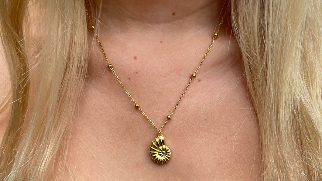 Gold Shell Necklace