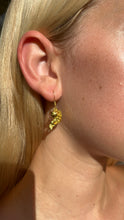 Load image into Gallery viewer, Gold Fishy Earrings
