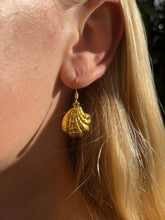 Load image into Gallery viewer, Coast shell earrings
