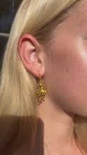 Load and play video in Gallery viewer, Gold octopus earrings
