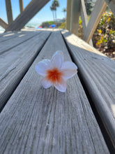 Load image into Gallery viewer, White Hibiscus HairClip
